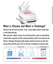 Load image into Gallery viewer, New Plamingo Plasma Energy Skincare System for Face, Scalp, Eyelids