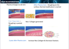 Load image into Gallery viewer, New Plamingo Plasma Energy Skincare System for Face, Scalp, Eyelids