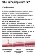 Load image into Gallery viewer, New Plamingo Plasma Energy Skincare System for Face, Scalp, Eyelids