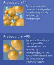 Load image into Gallery viewer, New Cool Fit Cryo Lipolysis Non Surgical Fat Reduction and Cellulite Removal System