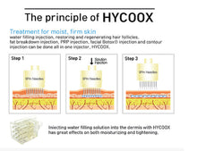 Load image into Gallery viewer, New Hycoox Needle Free Botox, PRP, HA Auto Hydro Injector System